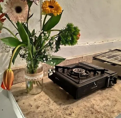 Сasa de vacaciones Cheerful 3 Bedroom Town House With Garage Free Parking Inside Or Outside With Back Yard And Roof